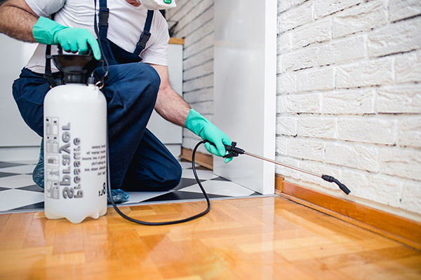 Residential Pest Control Crown Point, IN