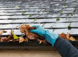 House Gutter — Griffith, IN — Guardian Pest Control