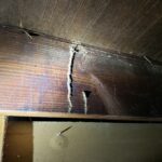 Termite Shelter Tube on Ceiling Support Joist — Chicago, IL — Guardian Pest Control
